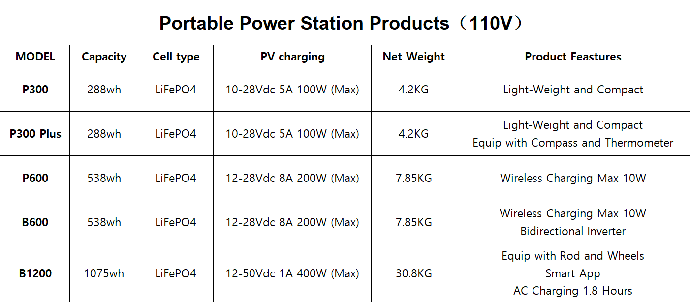 Tragbare Power Station 110V